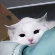 Кирюха